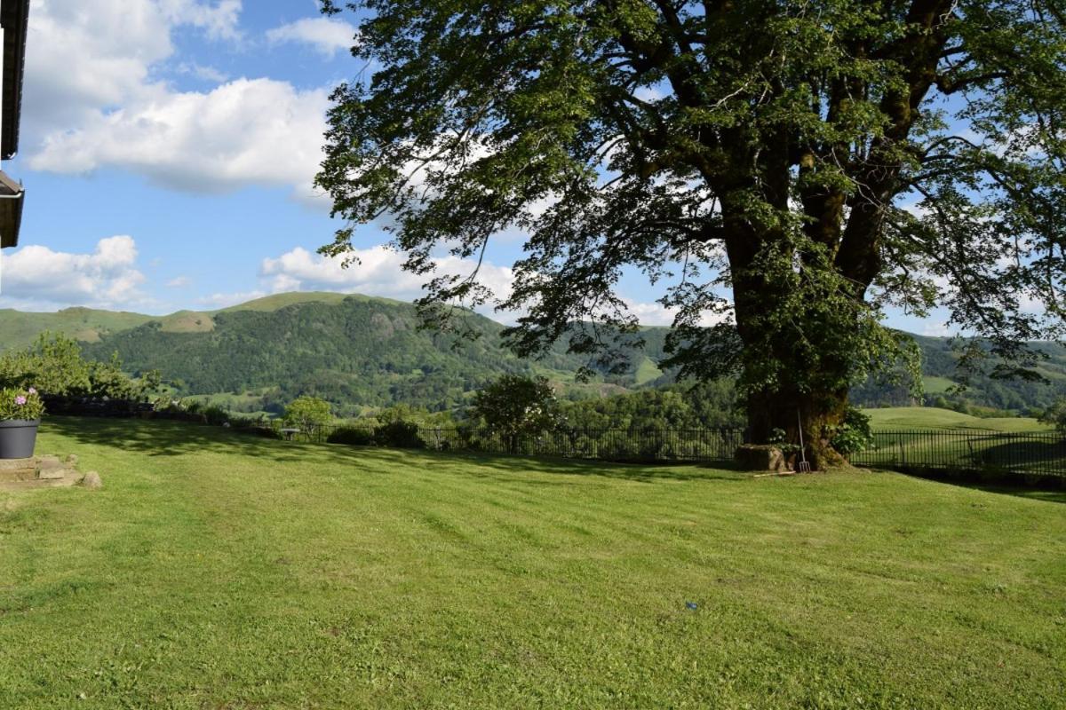 Gite 4 Personnes Dans Le Cantal Animaux Bienvenus Lascelle ภายนอก รูปภาพ